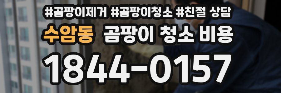 수암동 곰팡이 청소 비용
