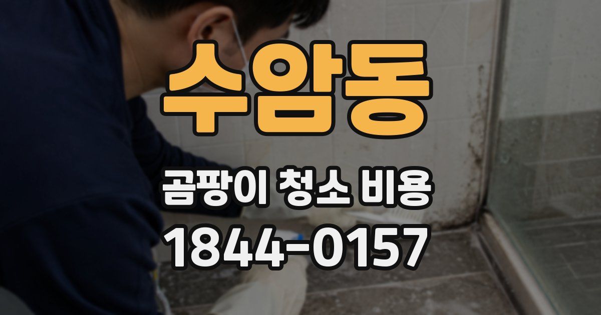 수암동 곰팡이 청소 비용