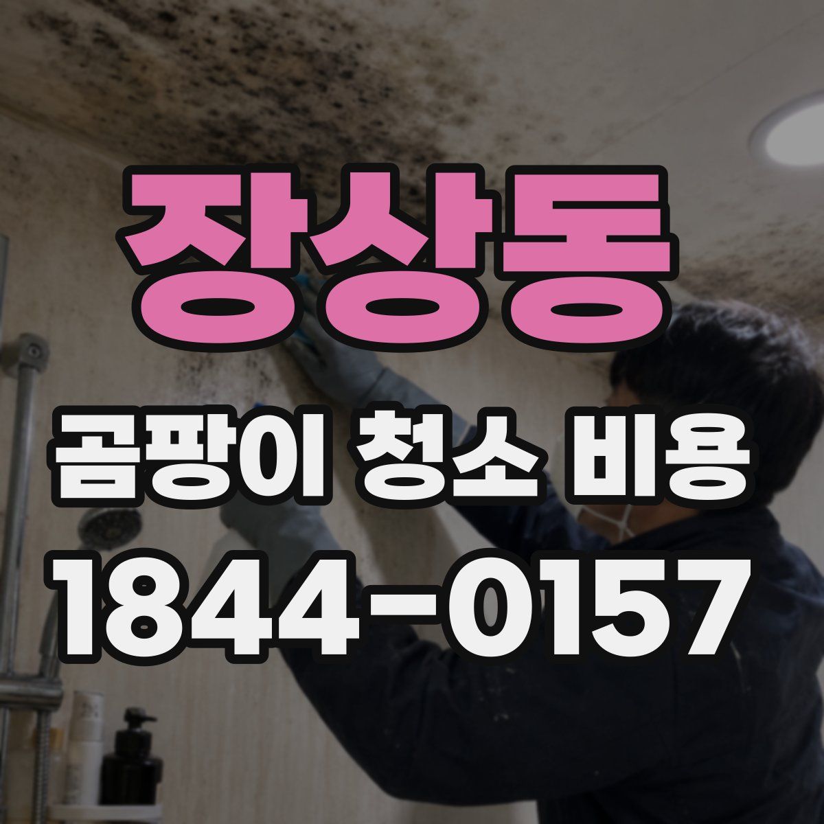 장상동 곰팡이 청소 비용