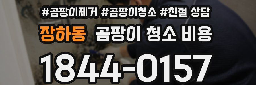 장하동 곰팡이 청소 비용