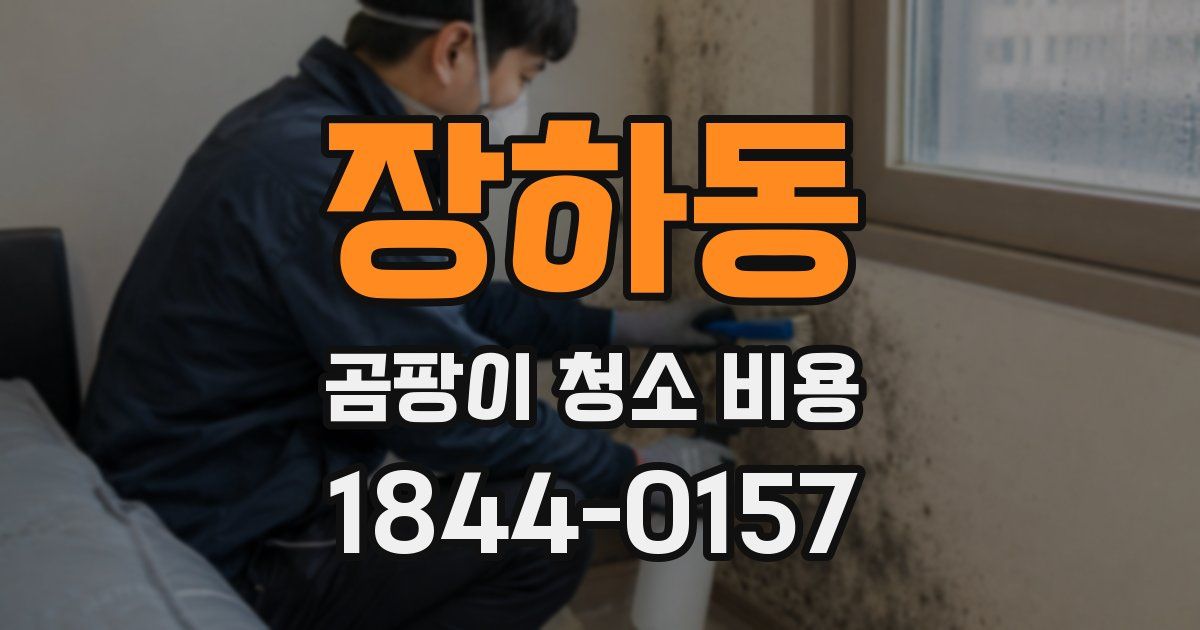장하동 곰팡이 청소 비용