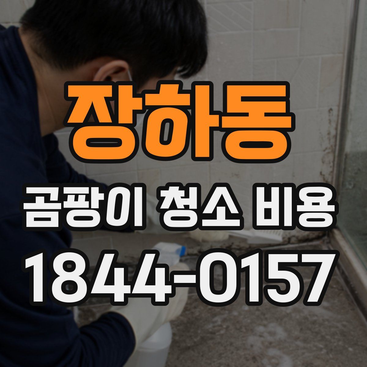 장하동 곰팡이 청소 비용