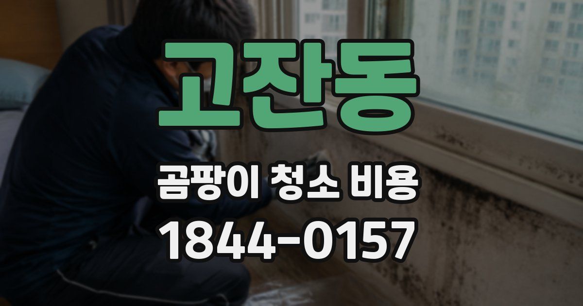 고잔동 곰팡이 청소 비용