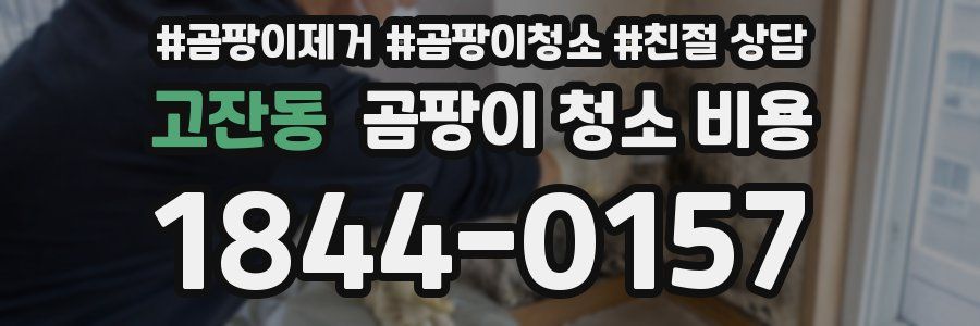 고잔동 곰팡이 청소 비용