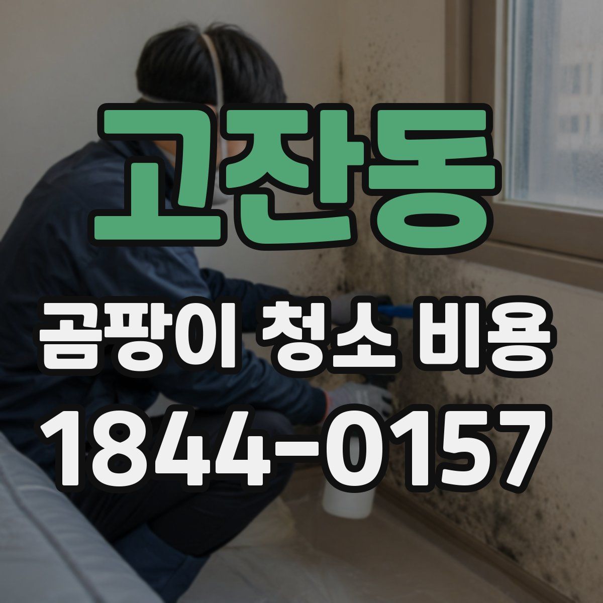 고잔동 곰팡이 청소 비용