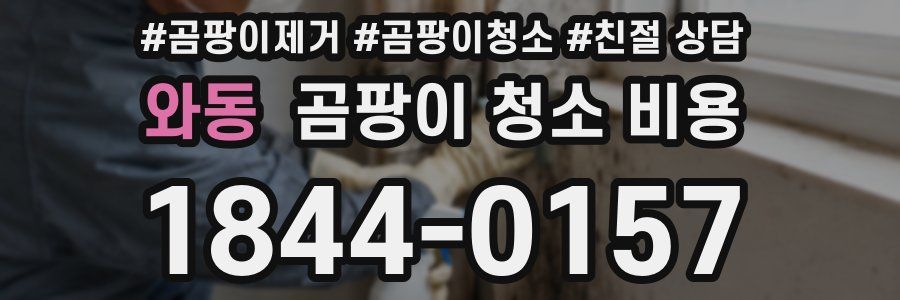 와동 곰팡이 청소 비용