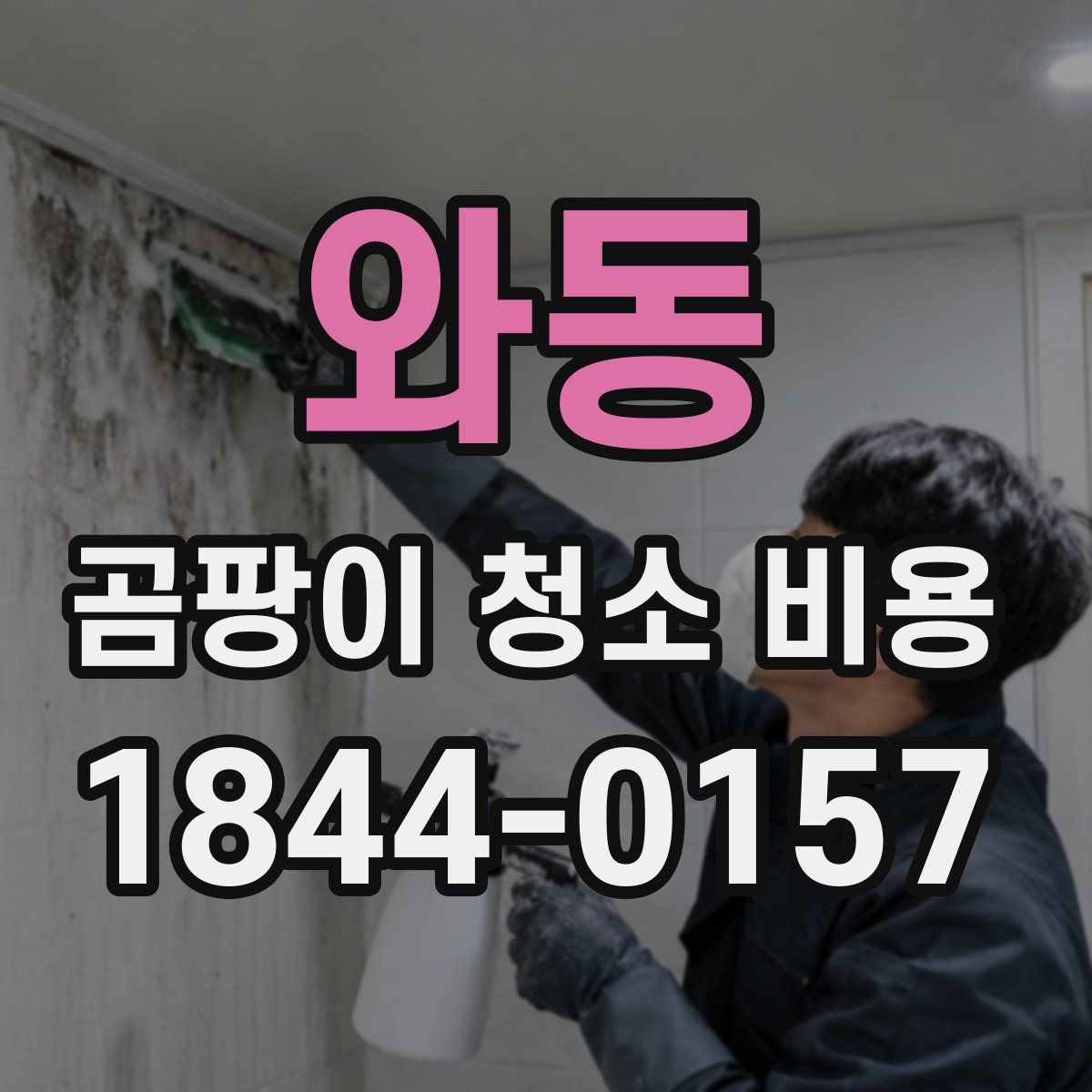 와동 곰팡이 청소 비용
