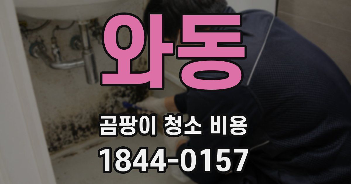 와동 곰팡이 청소 비용
