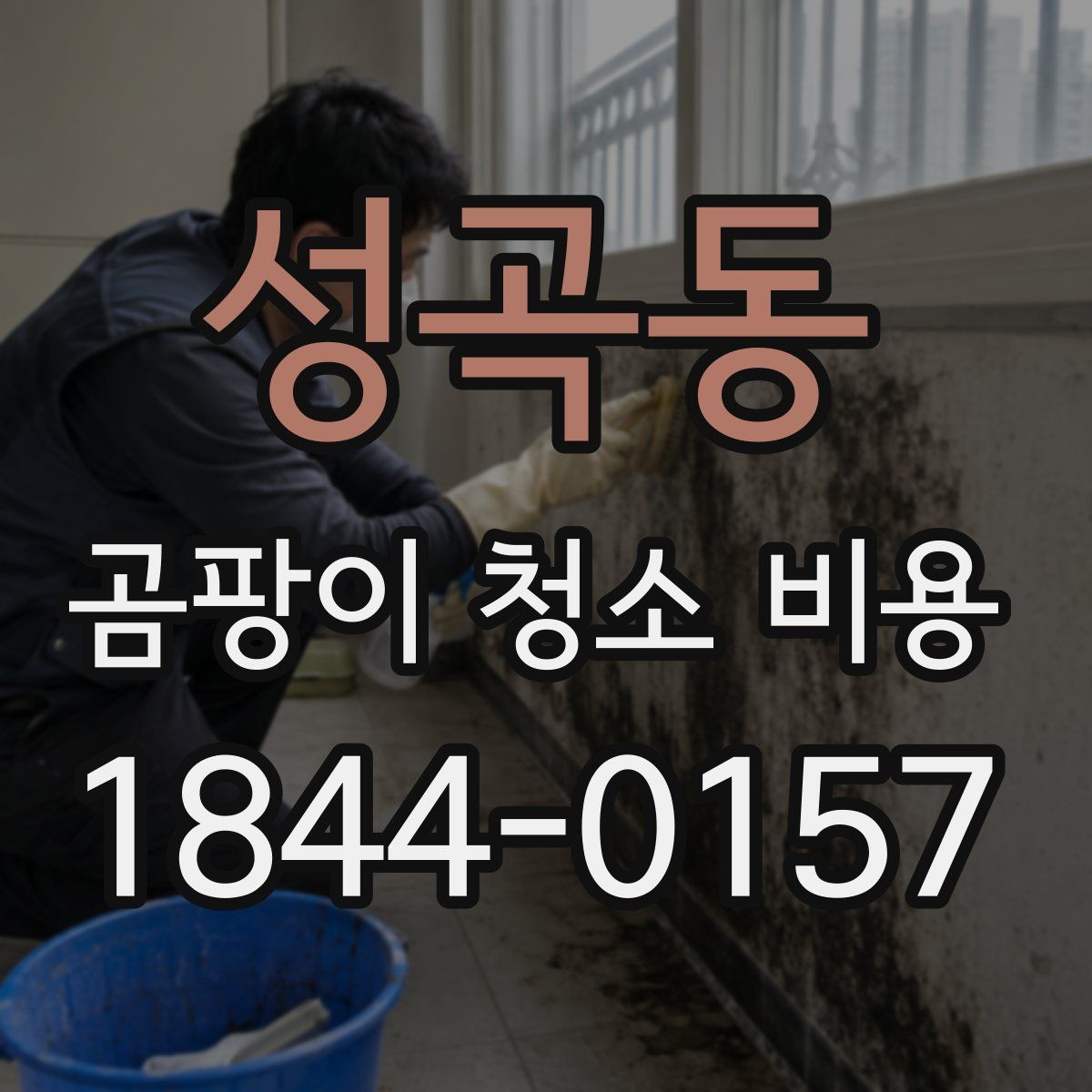 성곡동 곰팡이 청소 비용
