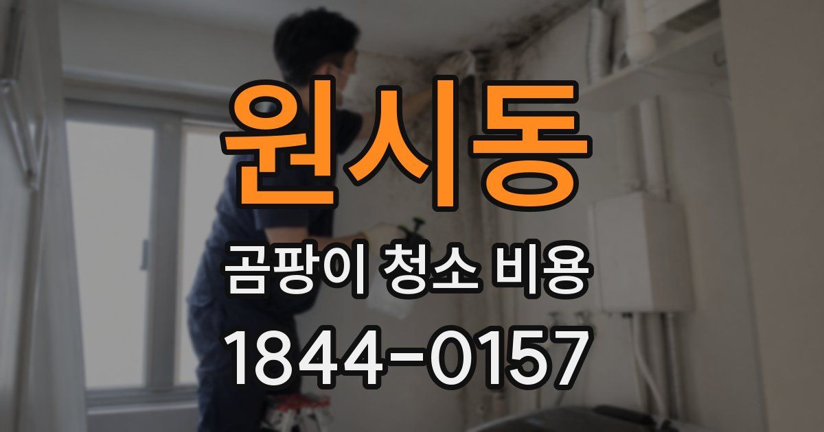 원시동 곰팡이 청소 비용