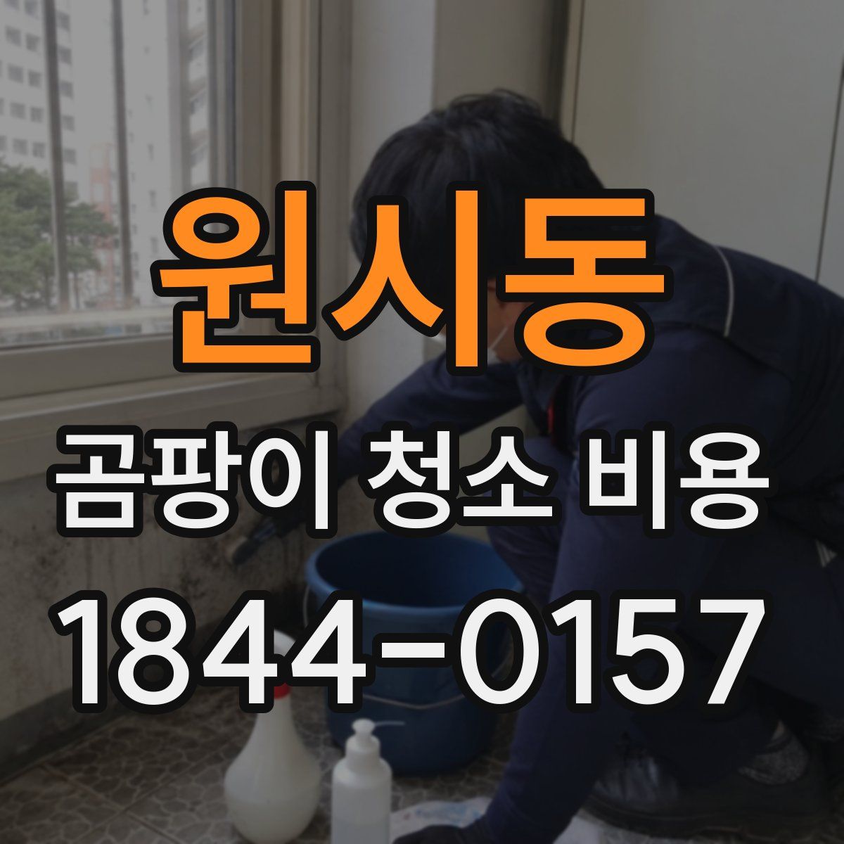 원시동 곰팡이 청소 비용