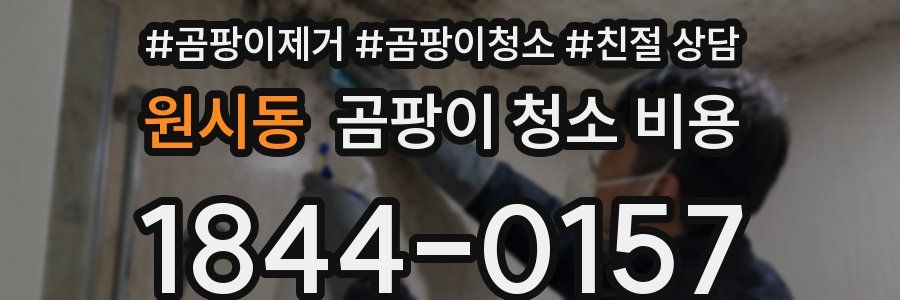 원시동 곰팡이 청소 비용