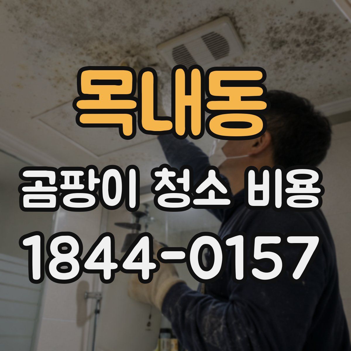 목내동 곰팡이 청소 비용