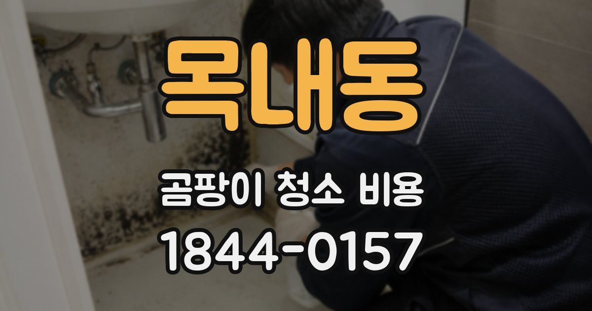 목내동 곰팡이 청소 비용