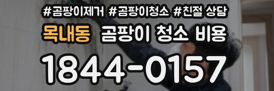 목내동 곰팡이 청소 비용