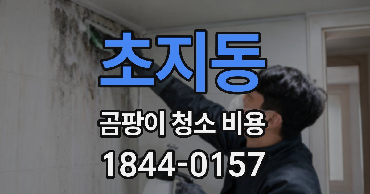 초지동 곰팡이 청소 비용