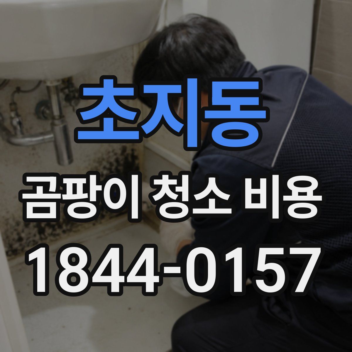 초지동 곰팡이 청소 비용