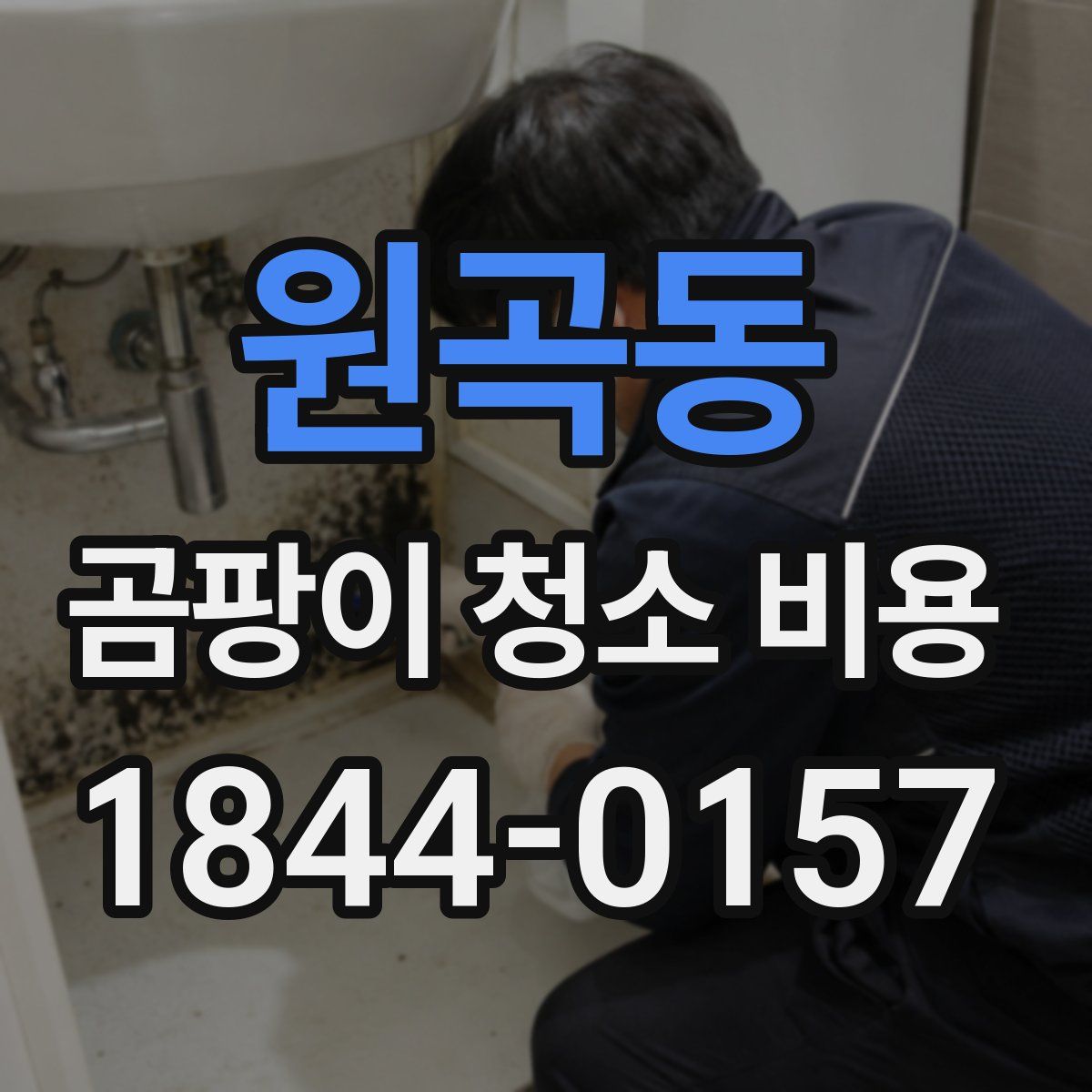 원곡동 곰팡이 청소 비용