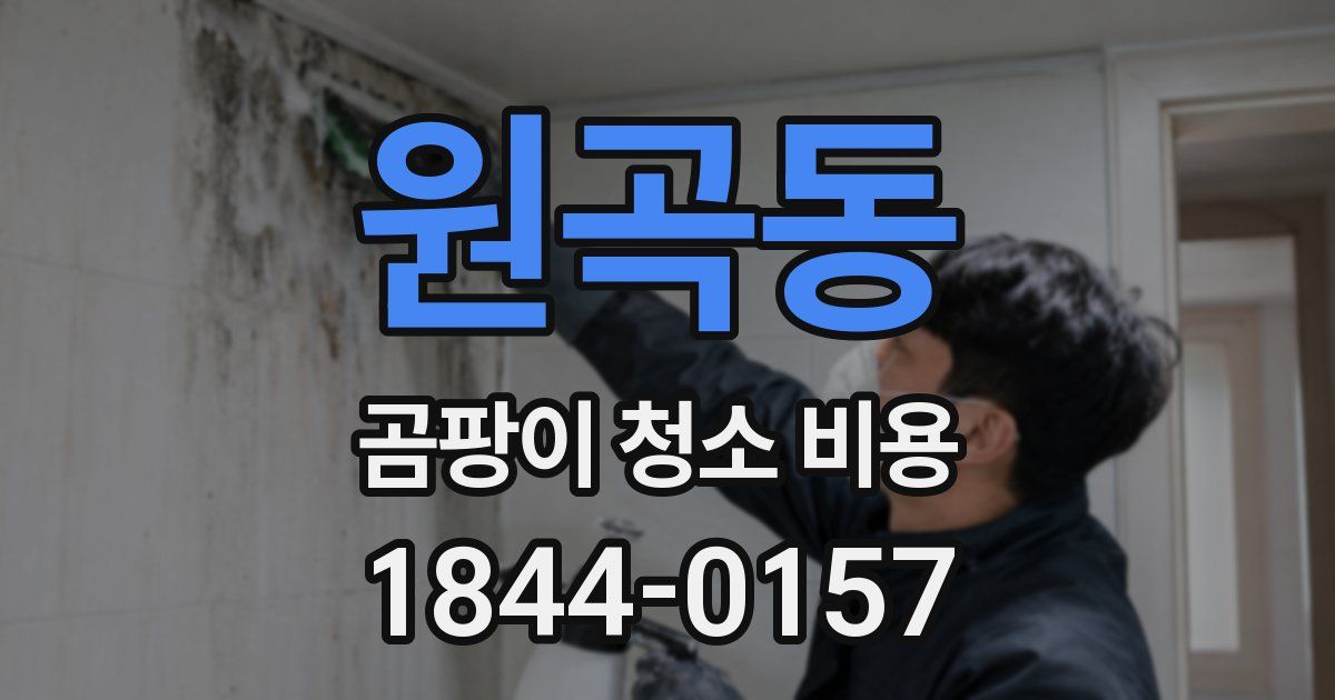 원곡동 곰팡이 청소 비용