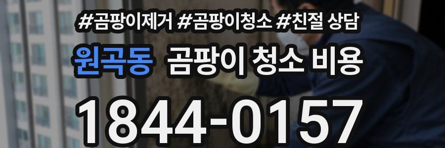 원곡동 곰팡이 청소 비용