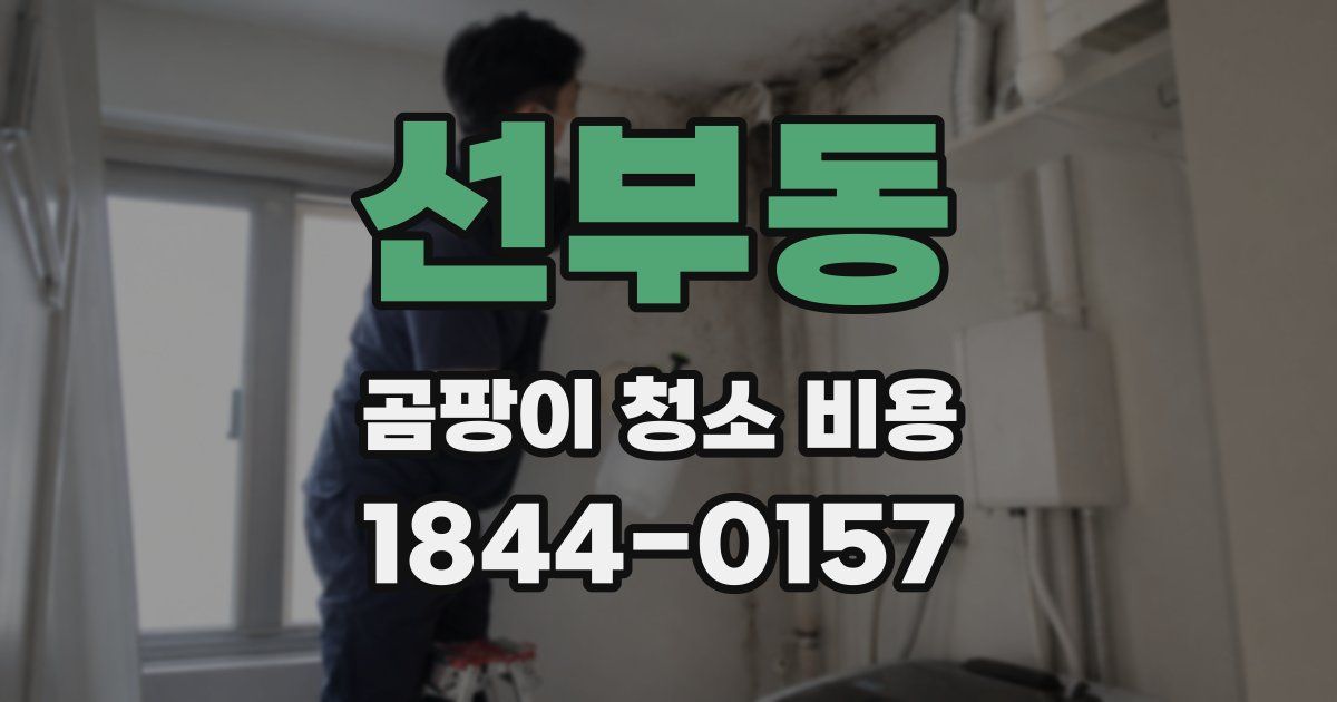 선부동 곰팡이 청소 비용