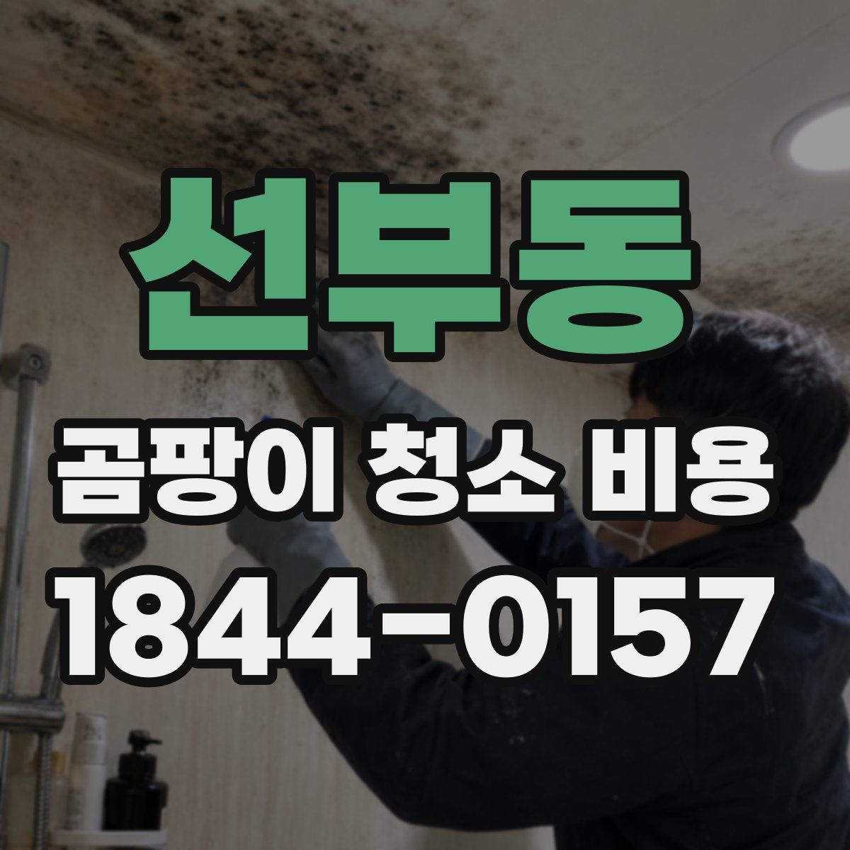 선부동 곰팡이 청소 비용