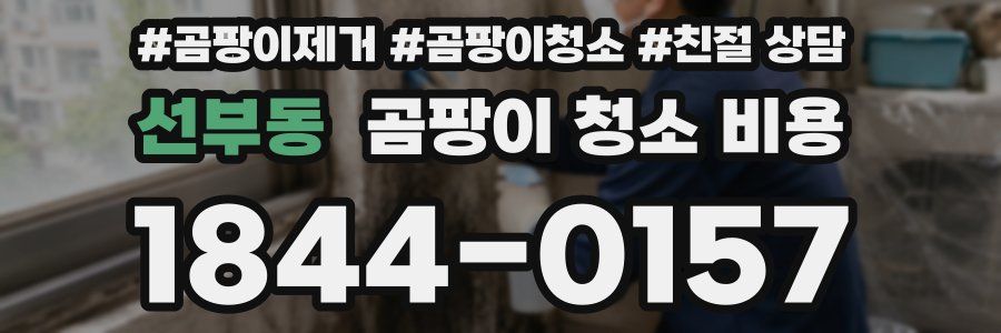 선부동 곰팡이 청소 비용