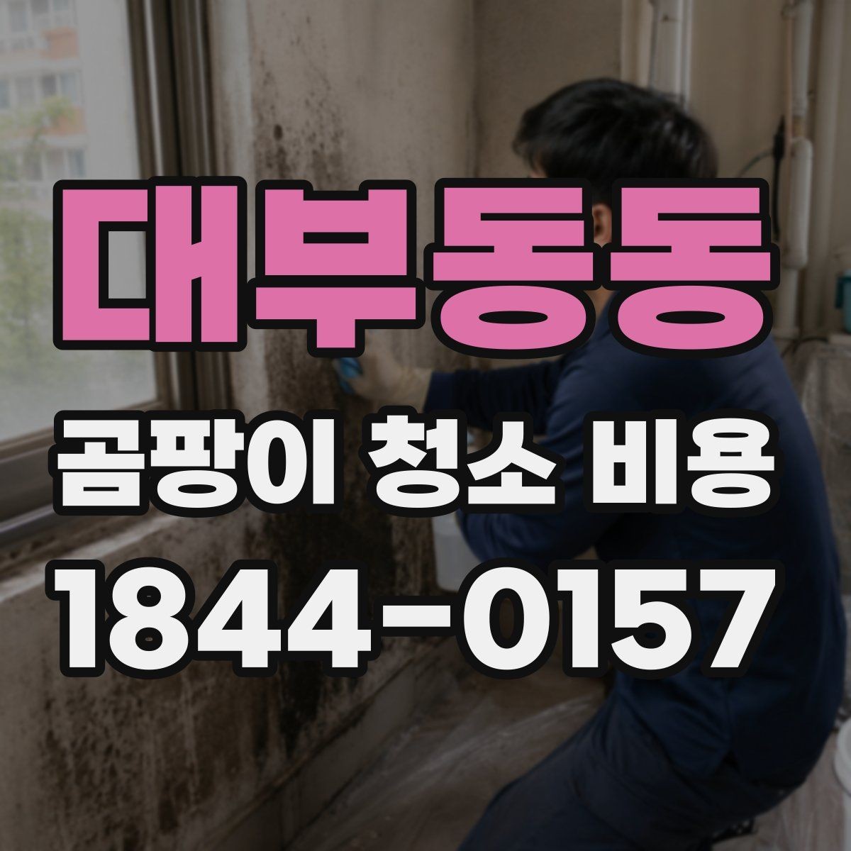 대부동동 곰팡이 청소 비용 예상할 때 확인할 체크리스트