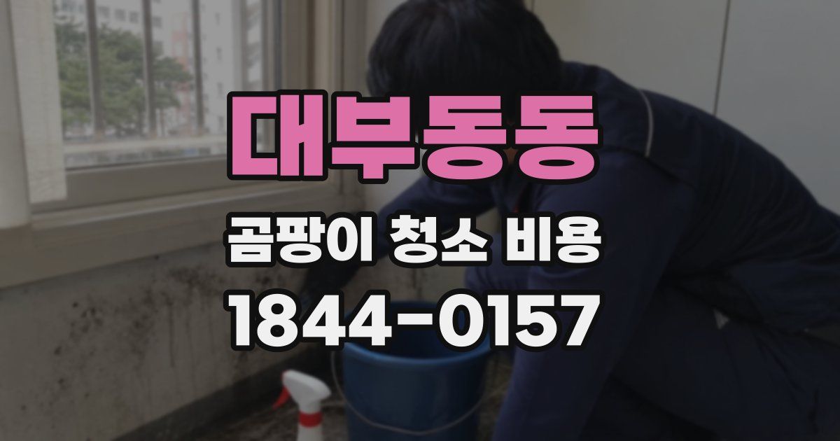 대부동동 곰팡이 청소 비용