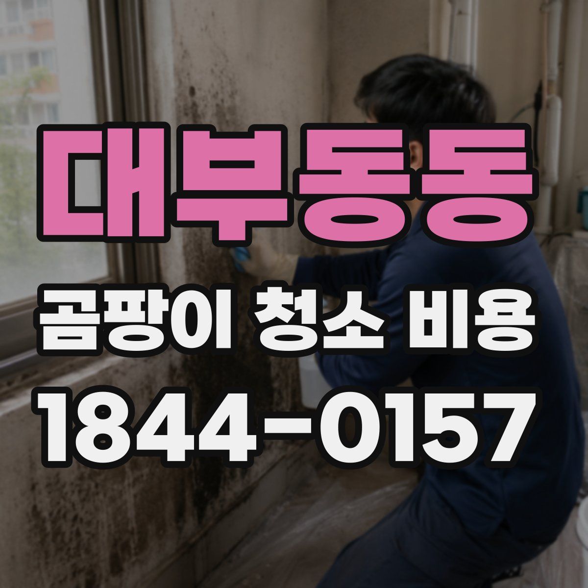 대부동동 곰팡이 청소 비용