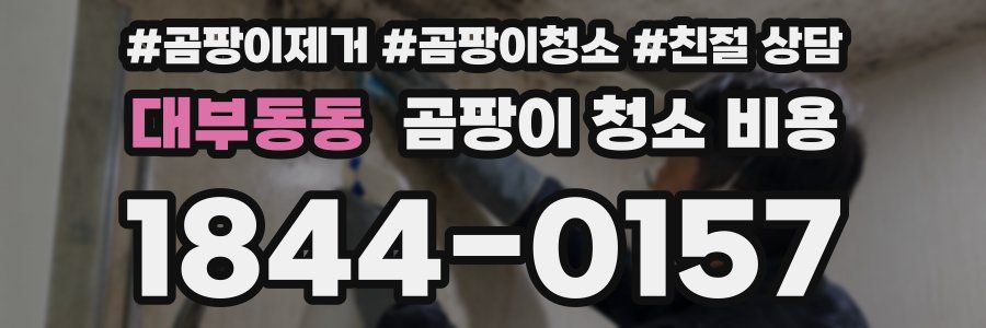 대부동동 곰팡이 청소 비용