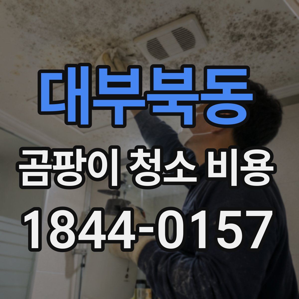 대부북동 곰팡이 청소 비용