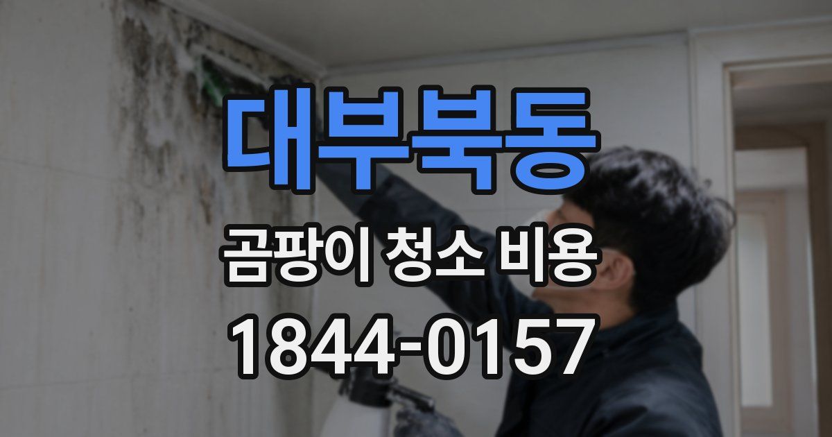 대부북동 곰팡이 청소 비용