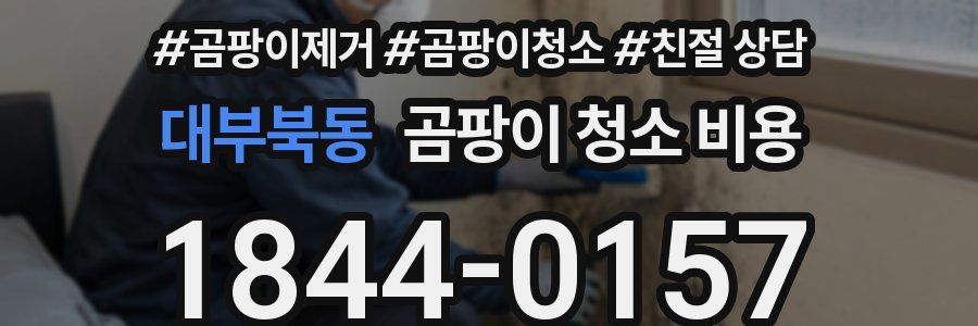 대부북동 곰팡이 청소 비용