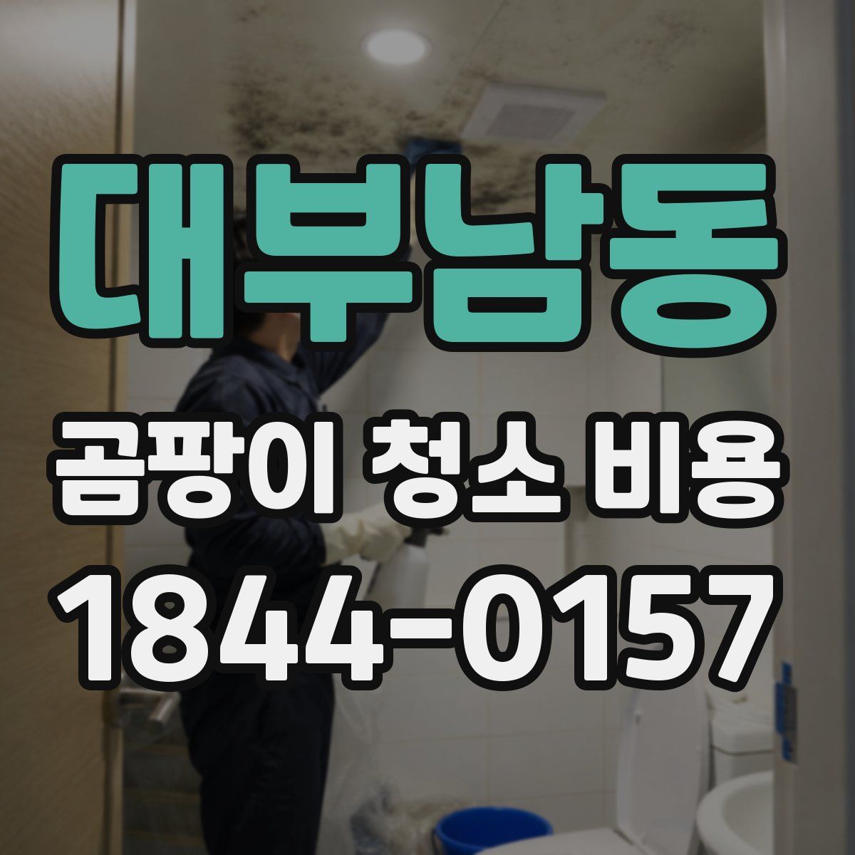 대부남동 곰팡이 청소 비용