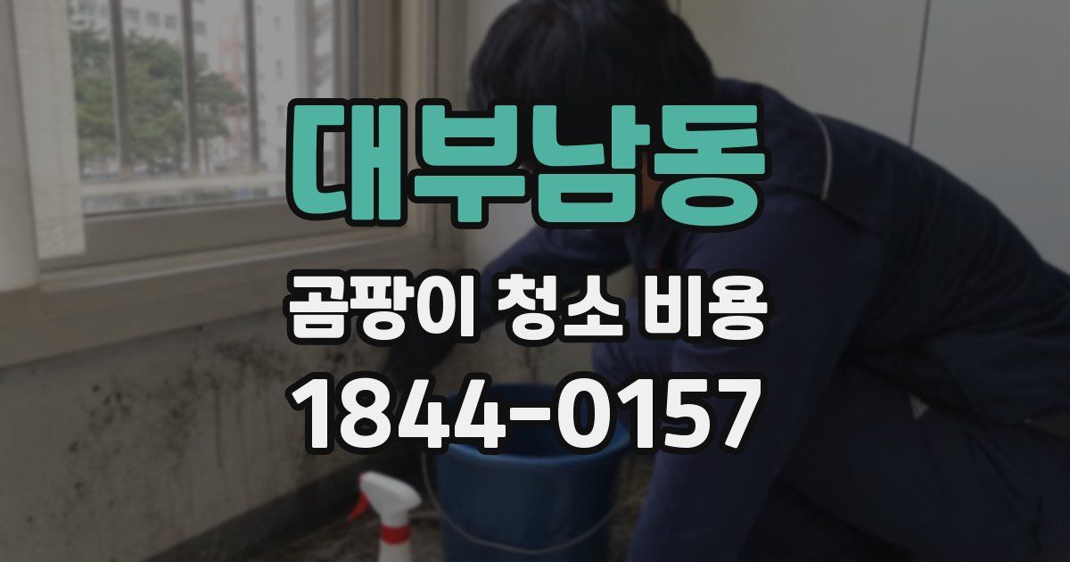 대부남동 곰팡이 청소 비용
