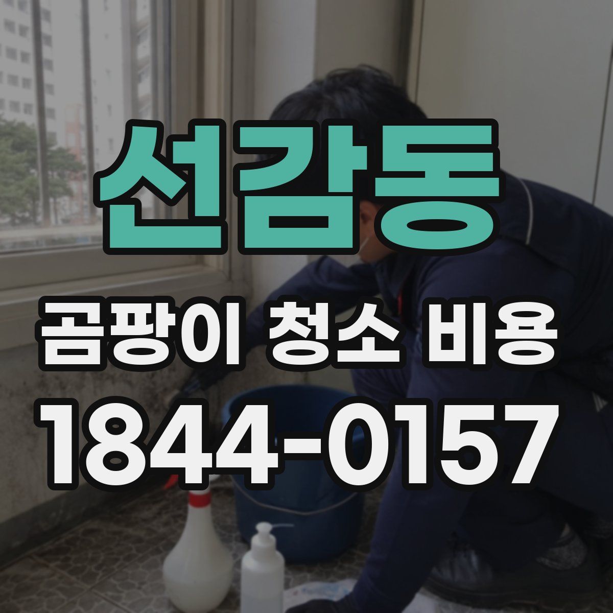 선감동 곰팡이 청소 비용