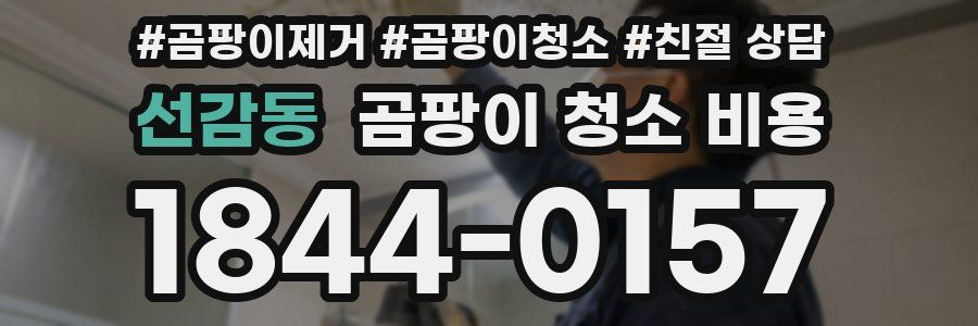 선감동 곰팡이 청소 비용