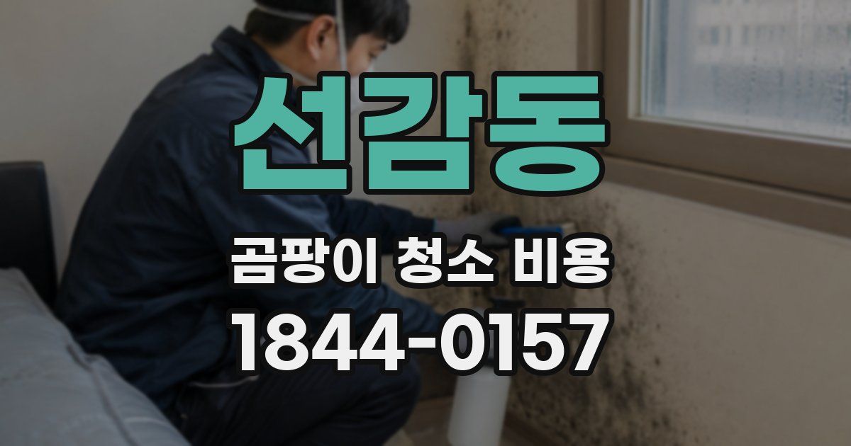 선감동 곰팡이 청소 비용