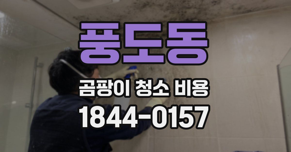 풍도동 곰팡이 청소 비용