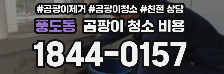 풍도동 곰팡이 청소 비용