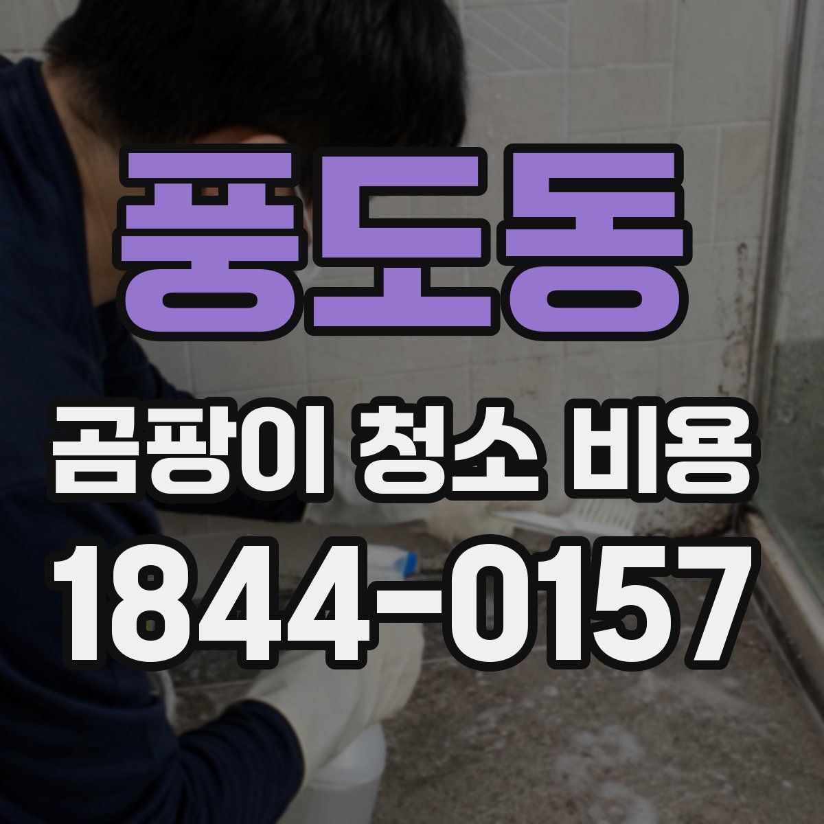 풍도동 곰팡이 청소 비용