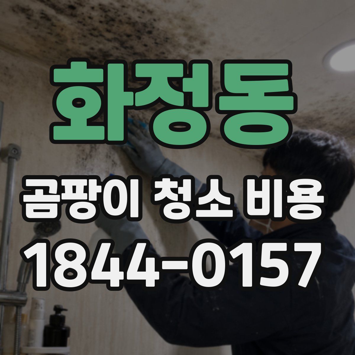 화정동 곰팡이 청소 비용