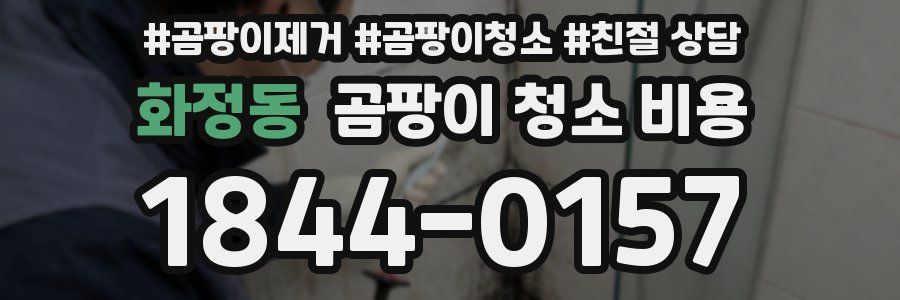 화정동 곰팡이 청소 비용