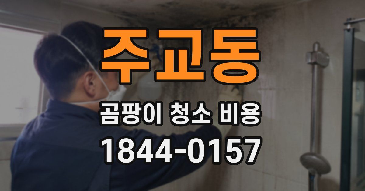 주교동 곰팡이 청소 비용