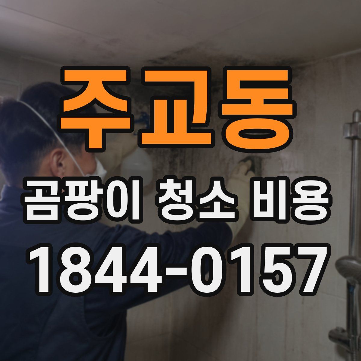 주교동 곰팡이 청소 비용