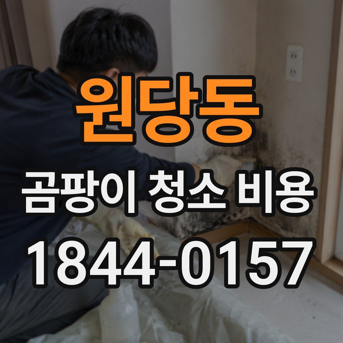 원당동 곰팡이 청소 비용