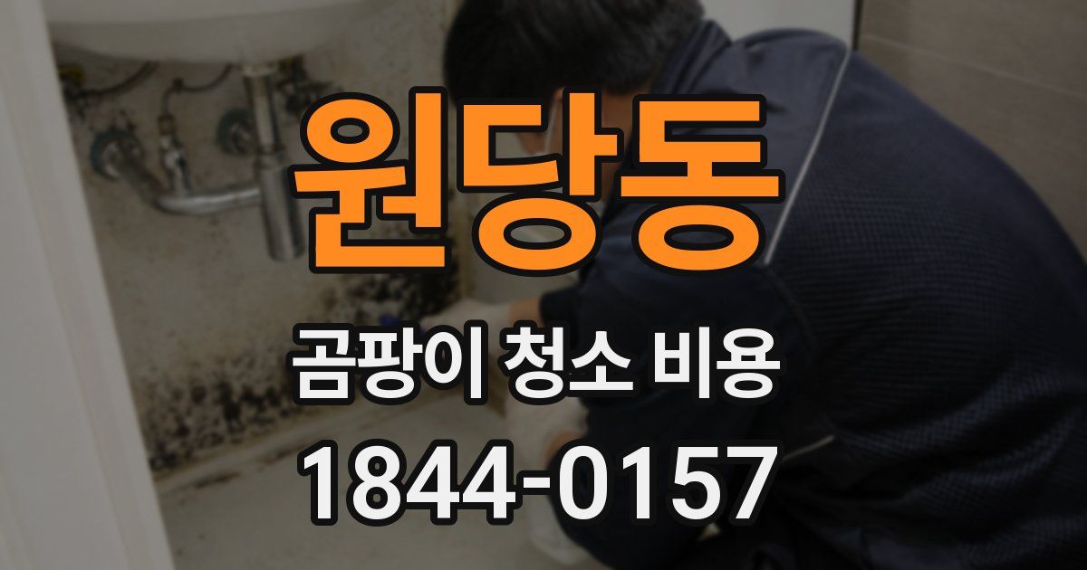 원당동 곰팡이 청소 비용