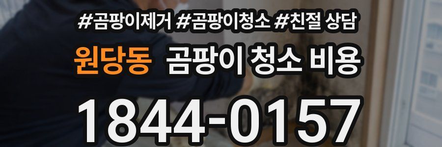 원당동 곰팡이 청소 비용