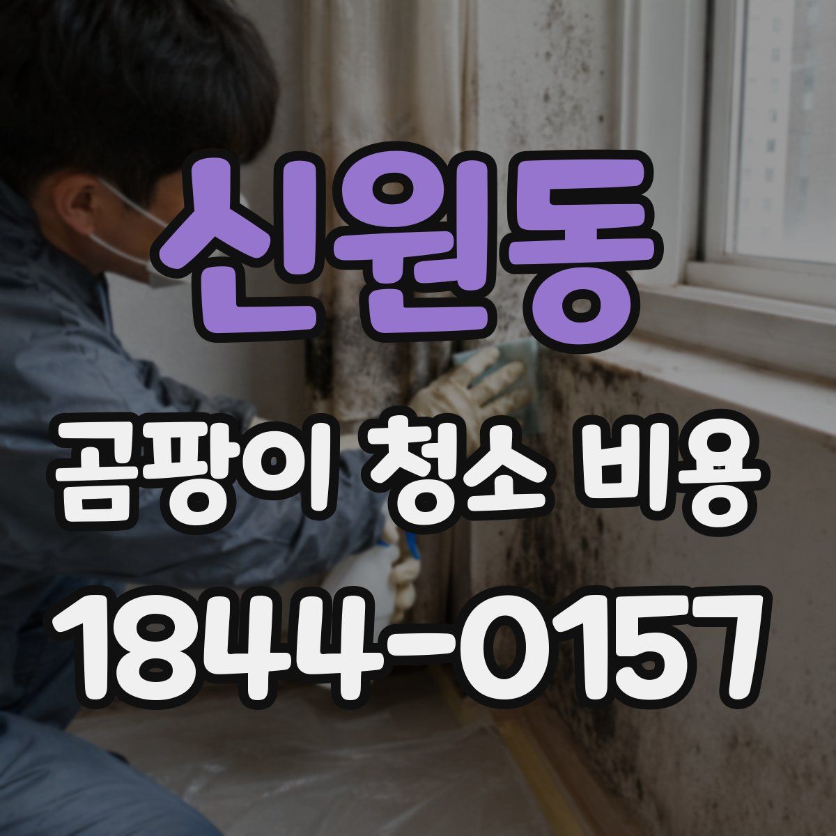 신원동 곰팡이 청소 비용